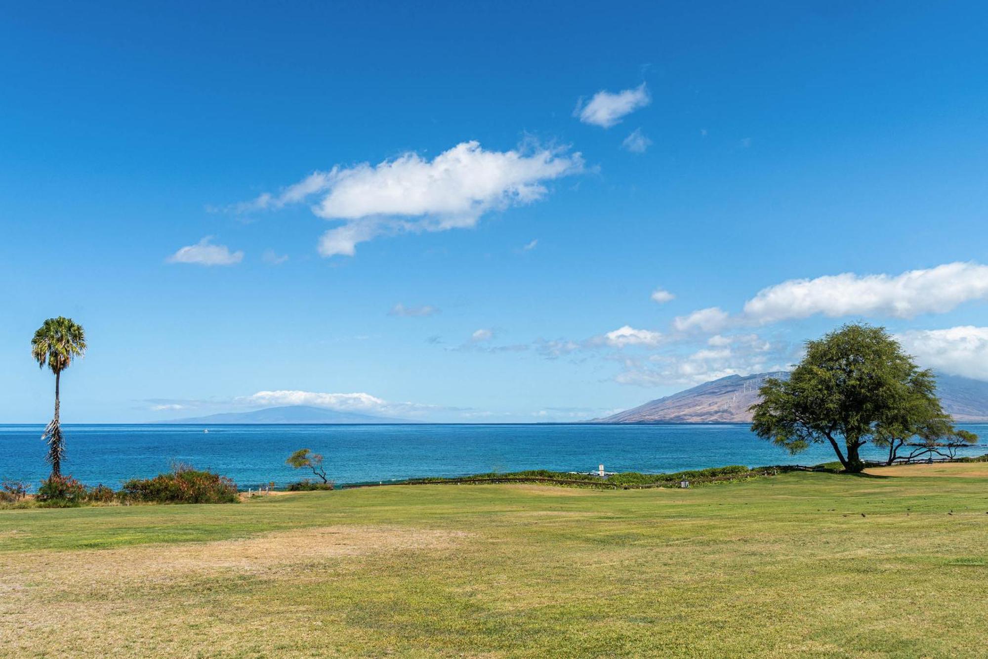 Apartament Maui Banyan Q-109 Wailea  Zewnętrze zdjęcie
