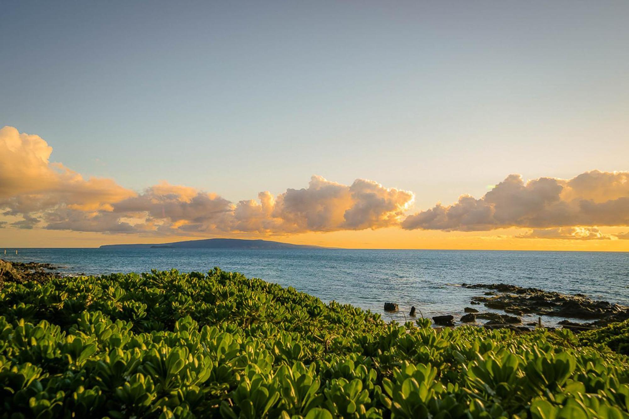 Apartament Maui Banyan Q-109 Wailea  Zewnętrze zdjęcie